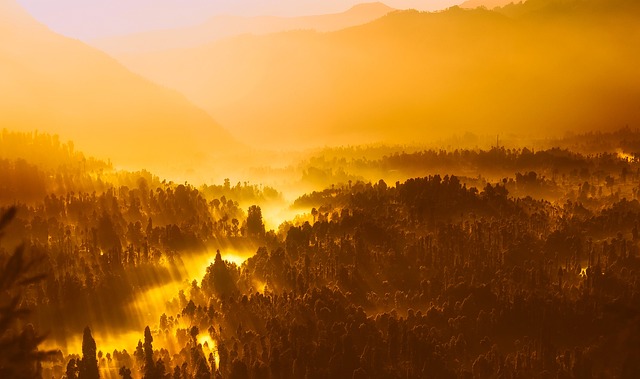 Paradise Valley