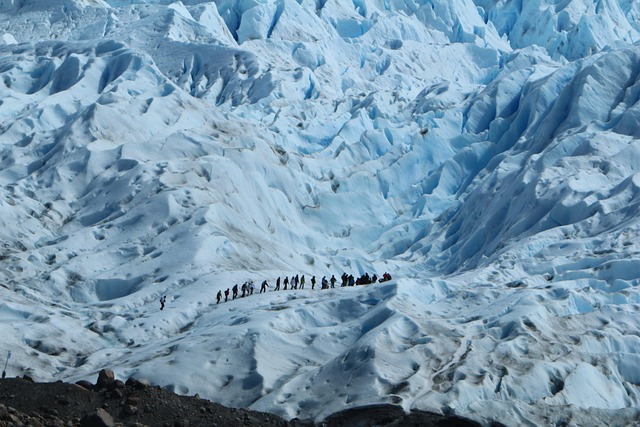Patagonia