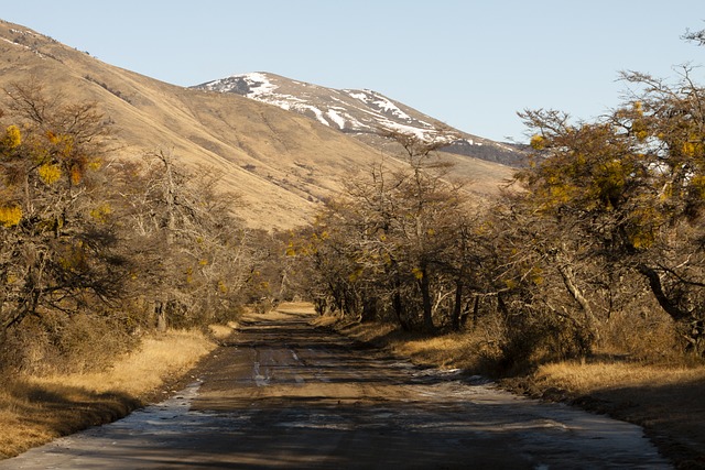 Patagonia