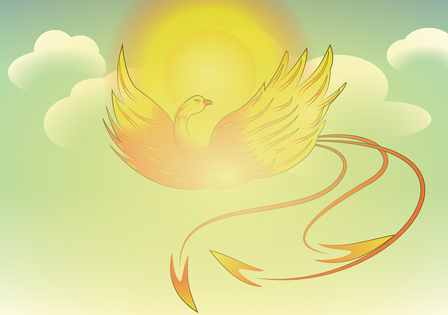 Phoenix