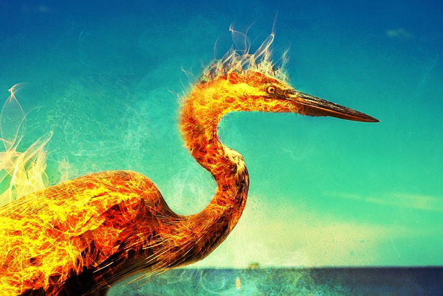 Phoenix