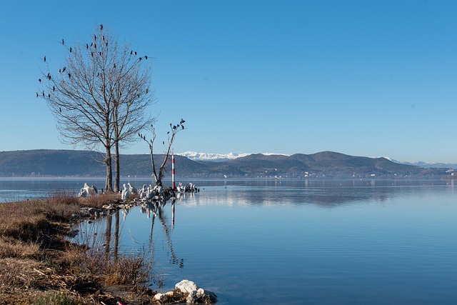 Unveiling the Appeal: Mountain Retreats in the White Mountains as Dream Investments