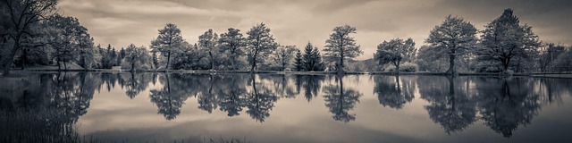 Pinetop-Lakeside