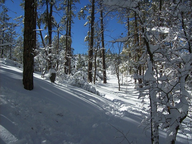 Prescott