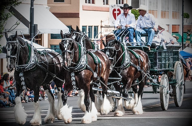 Historic Frontier Town: A Retirement Haven’s Real Estate Charm