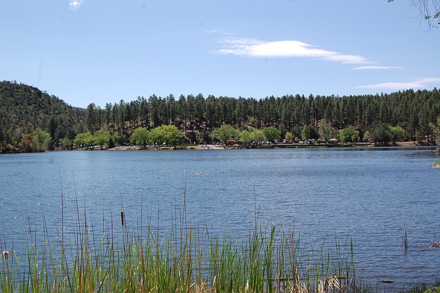 Prescott