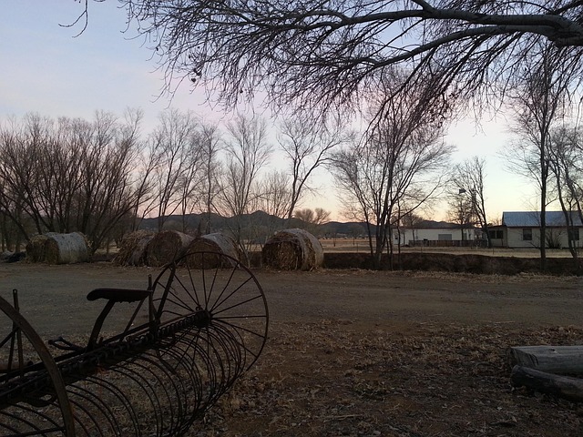 prescott-640x480-74355757.jpeg