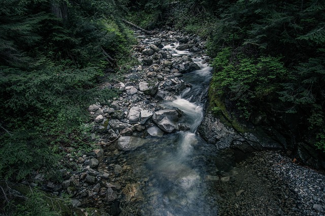 Queen Creek