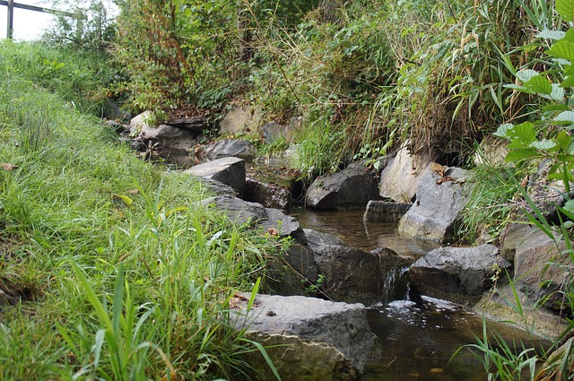 Queen Creek