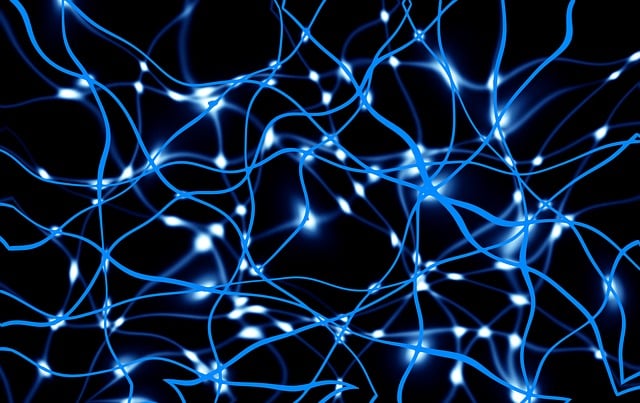 Referral-Network