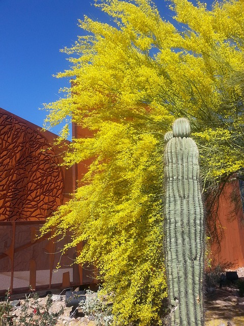 Scottsdale
