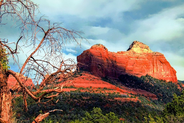 Desert Landscapes: Attracting Visitors Through Scenic Real Estate Magic