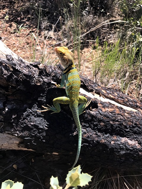 sedona-640x480-72253798.jpeg