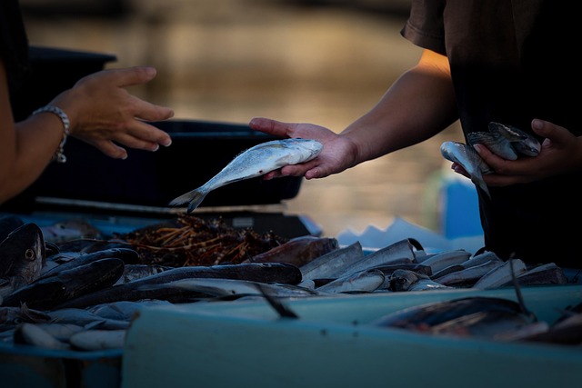 Seller-Marketing