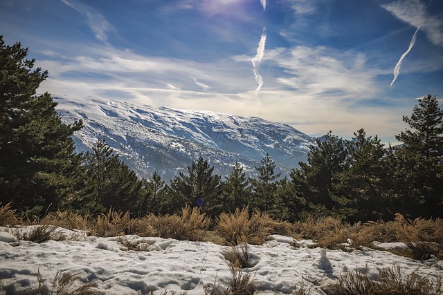 sierra-vista-640x480-53776627.jpeg