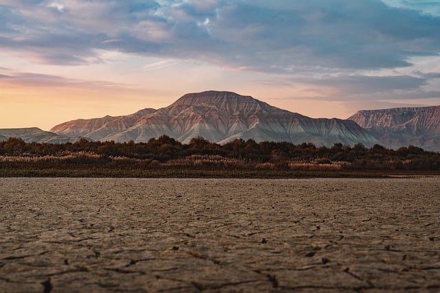Sierra Vista