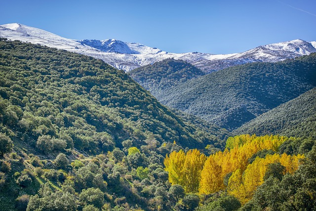 Sierra Vista