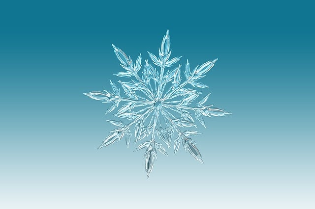 snowflake-640x480-36874885.jpeg