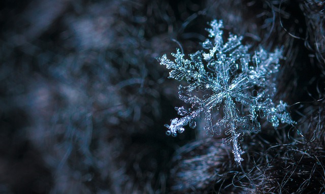 snowflake-640x480-47986484.jpeg