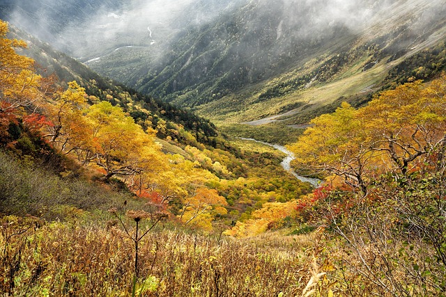 Star Valley