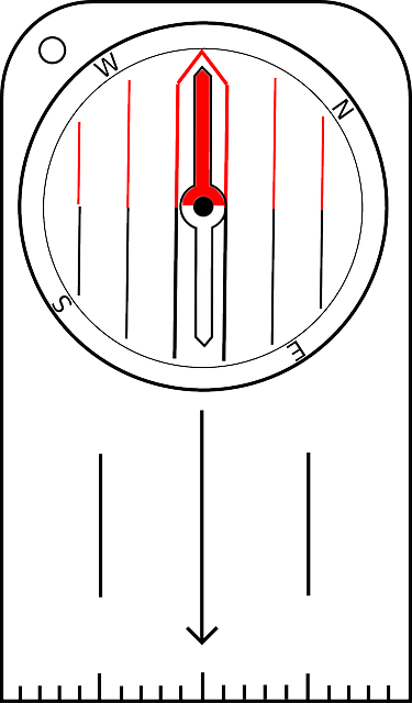 Transit-Oriented
