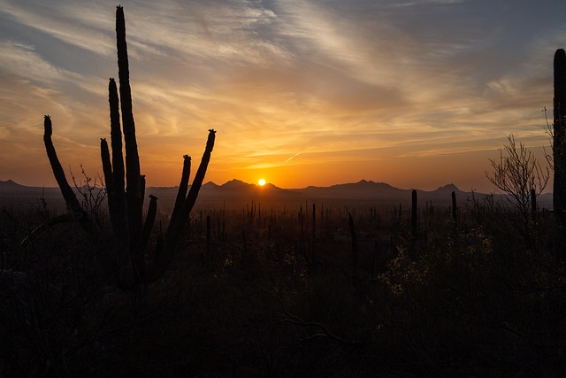 tucson-640x480-12215044.jpeg
