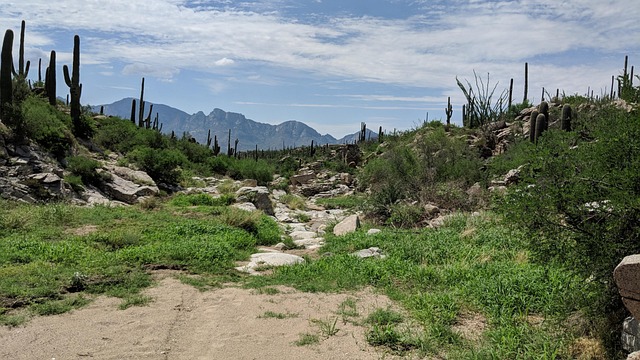 tucson-640x480-14140587.jpeg
