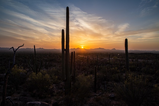 Tucson