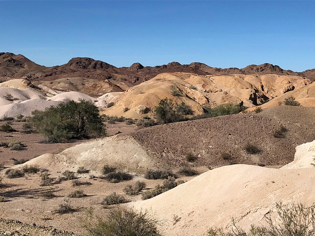 Yuma