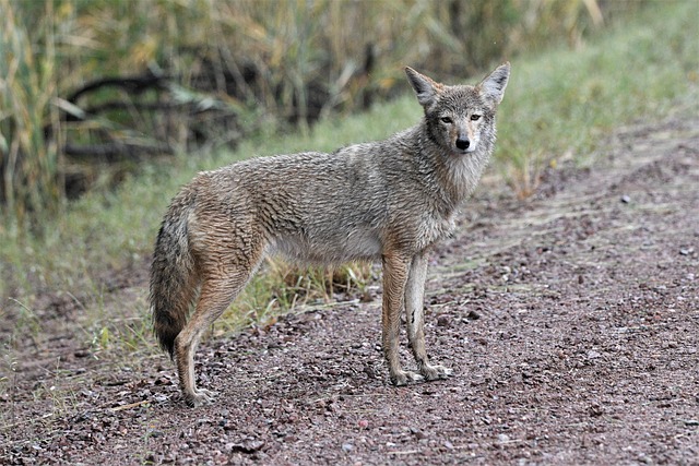 apache-county-640x480-92775051.jpeg