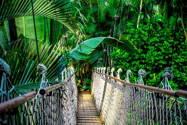 Bridge-Loans