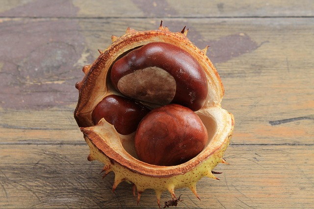 Buckeye