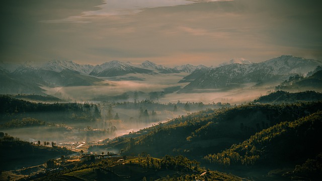 Chino Valley