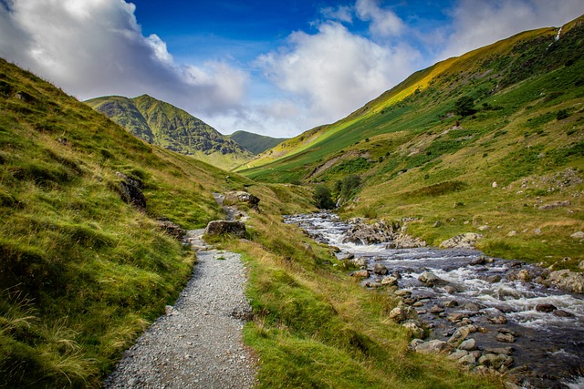 Real Estate & Family-Friendly Events: Spring/Summer Adventures & Local Festivals