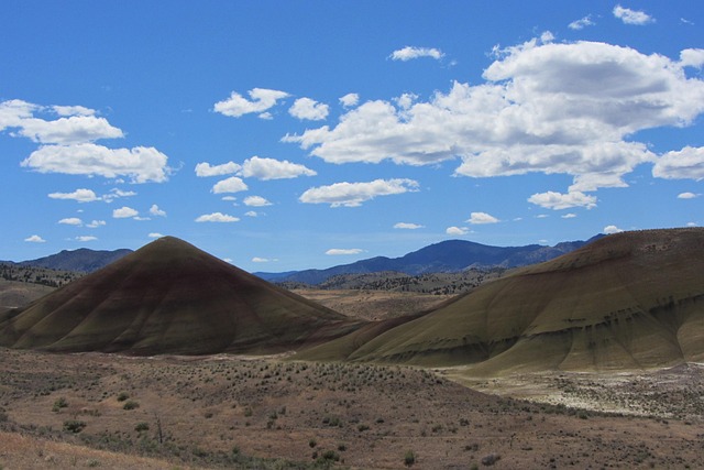 Forests, Deserts, Mountains: Interconnected Ecosystems & Real Estate Impact