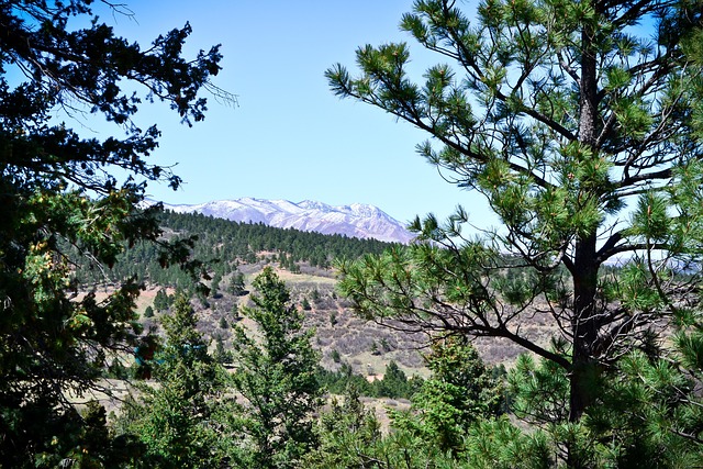 Colorado City