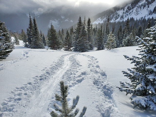 Colorado City