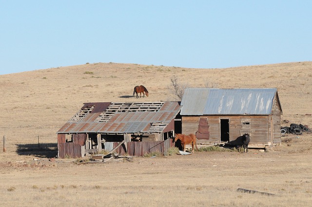 colorado-city-640x480-83120287.jpeg