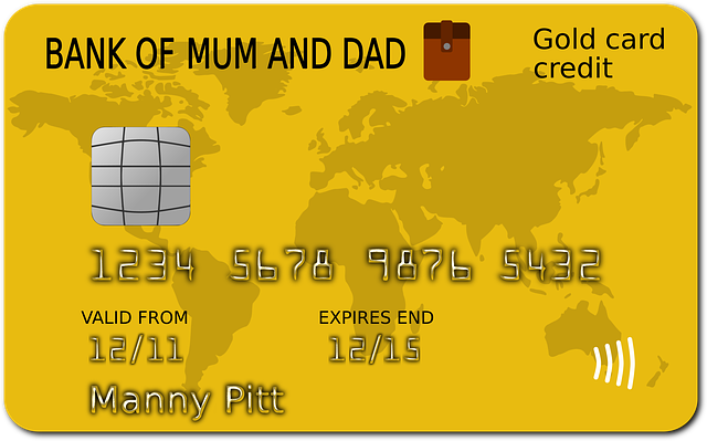 Credit-Scores