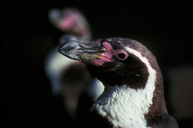 dewey-humboldt-640x480-52005119.jpeg