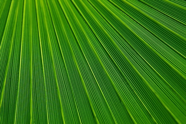 Eco-Landscaping