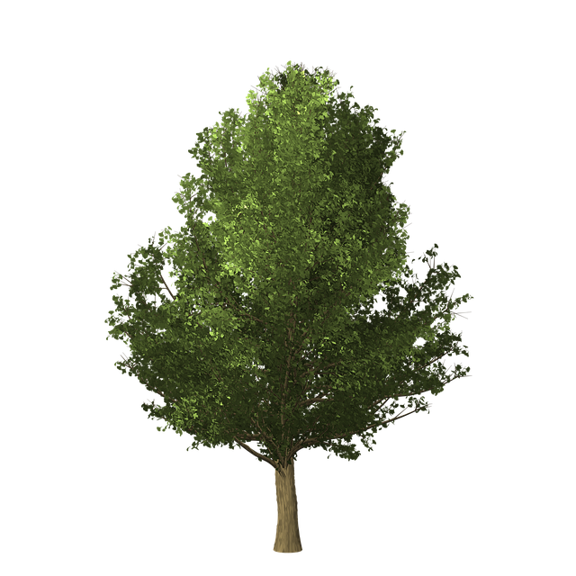 Eco-Landscaping