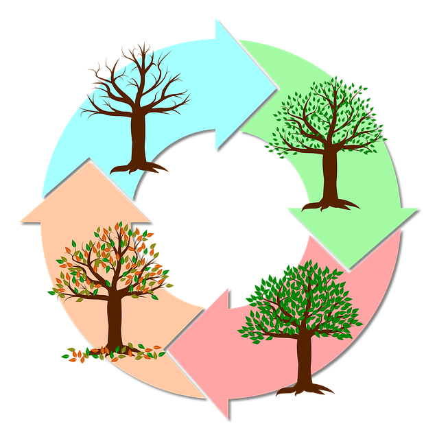 Economic-Cycles
