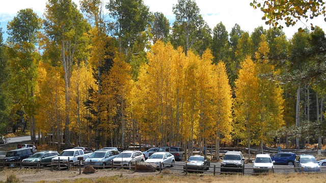 Flagstaff