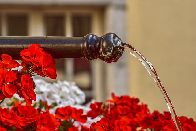 fountain-hills-640x480-19535892.jpeg