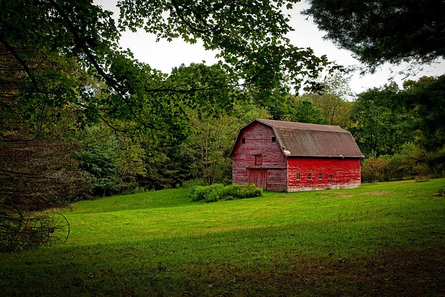 Sustainable Living Spaces: Revolutionizing Real Estate for Future Generations
