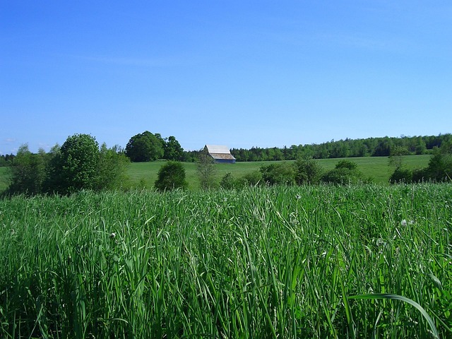 Sustainable Materials Revolutionize Real Estate’s Environmental Footprint