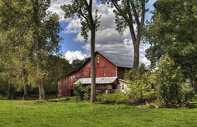 Greenlee County