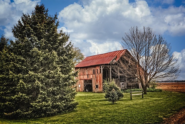 greenlee-county-640x480-56069865.jpeg