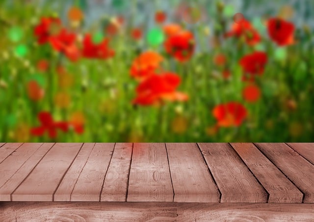 home-staging-640x480-28310286.jpeg